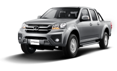 Great Wall Steed