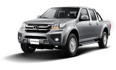 Great Wall Steed