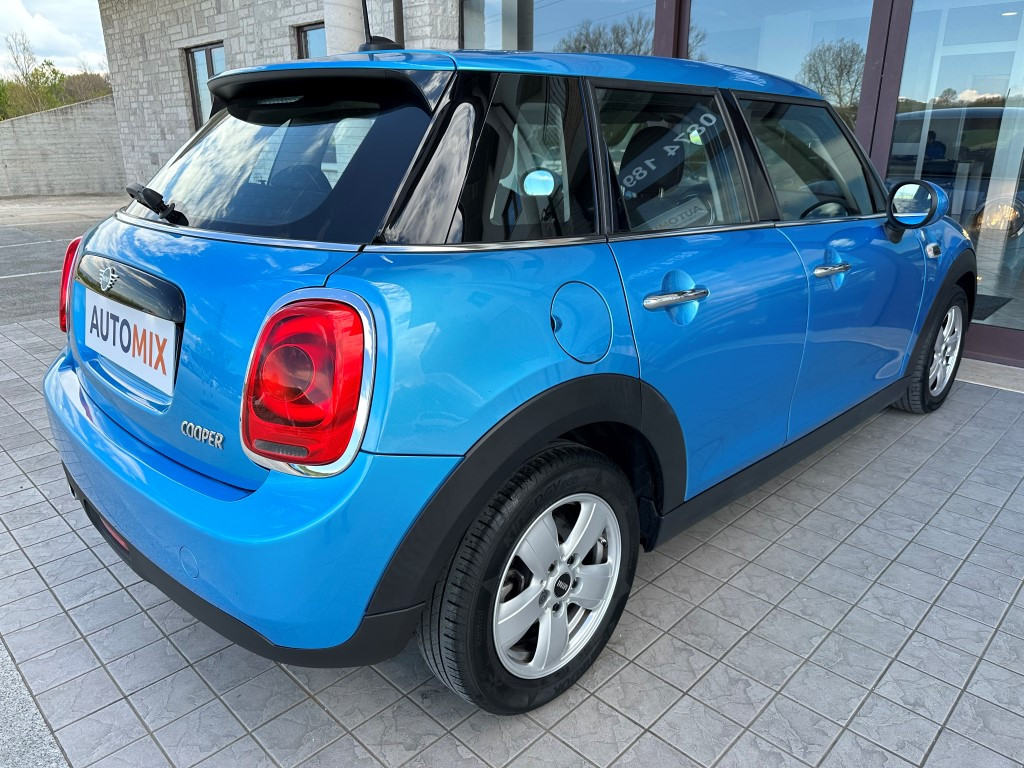 Mini Mini
