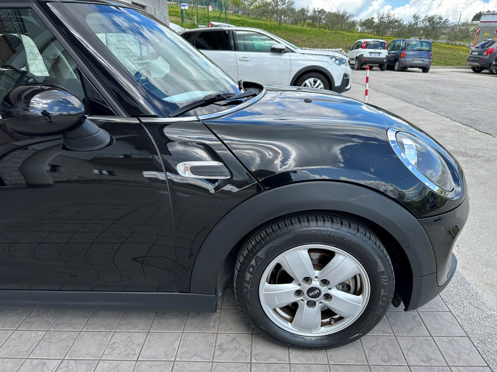 Mini Mini