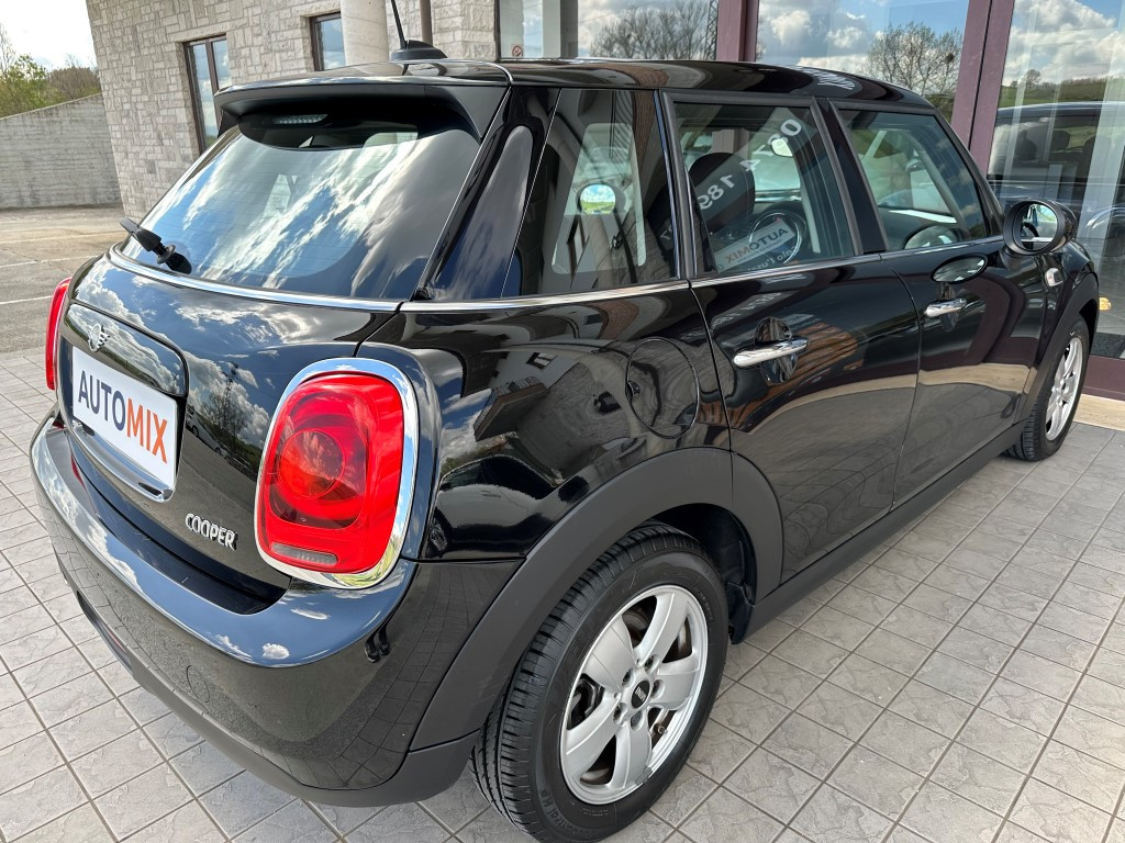 Mini Mini