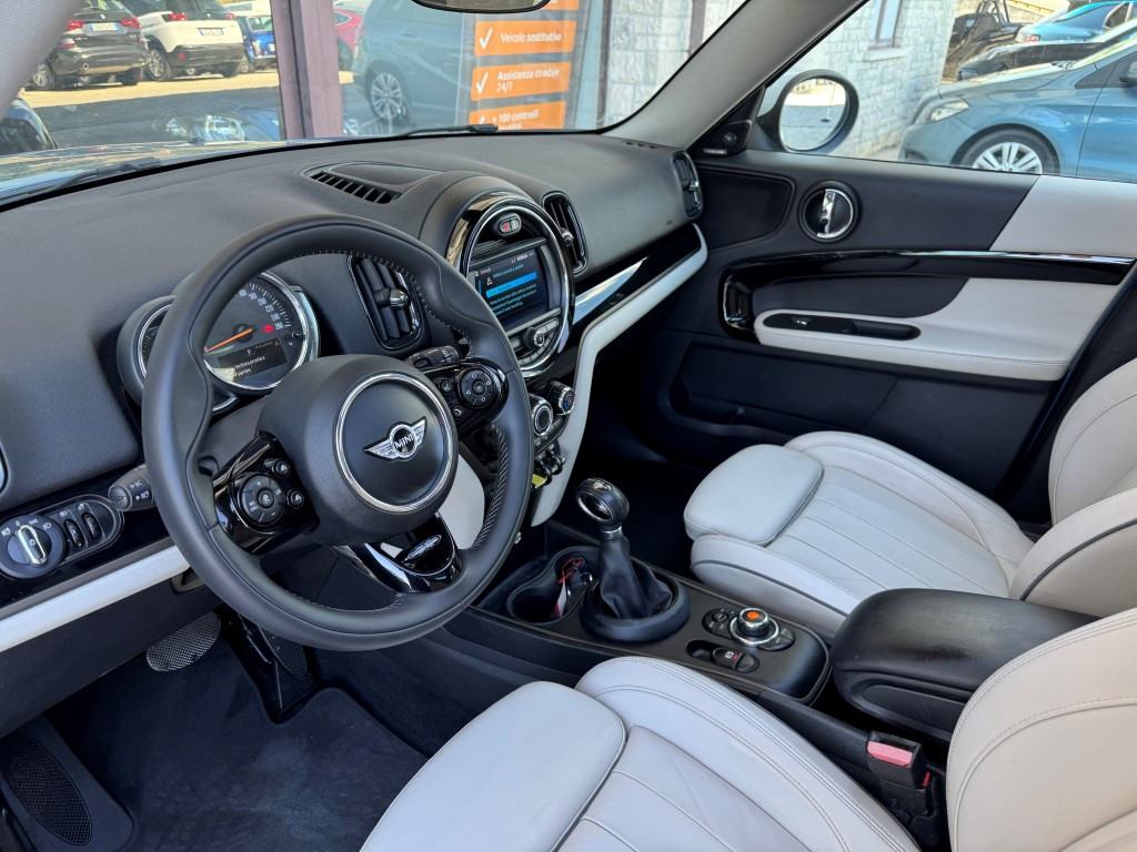Mini Countryman