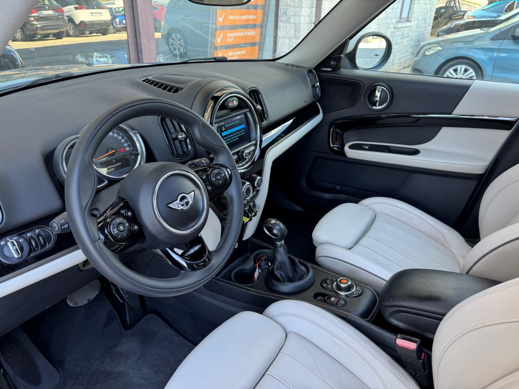 Mini Countryman