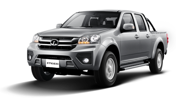 Great Wall Steed