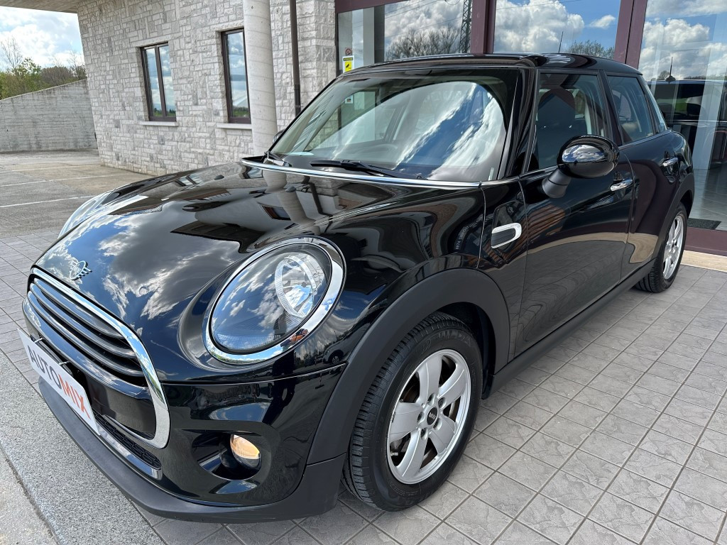 Mini Mini