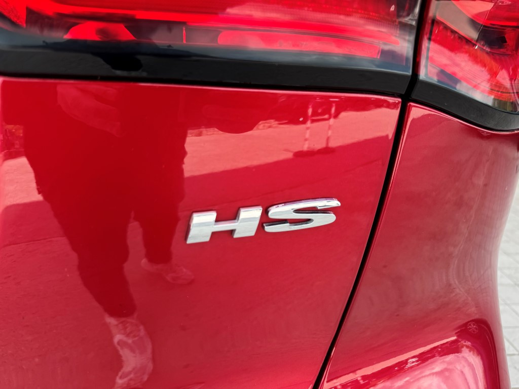 Mg HS