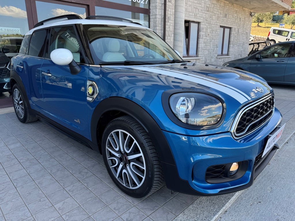 Mini Countryman